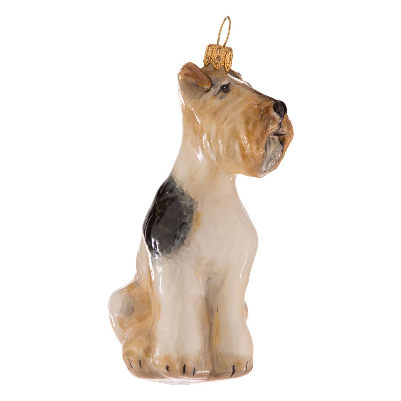Fox Terrier Fox Terrier