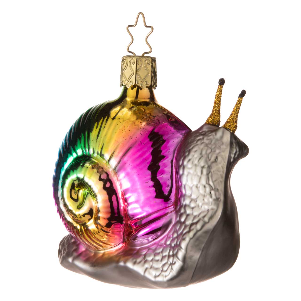 Psychedelic snail