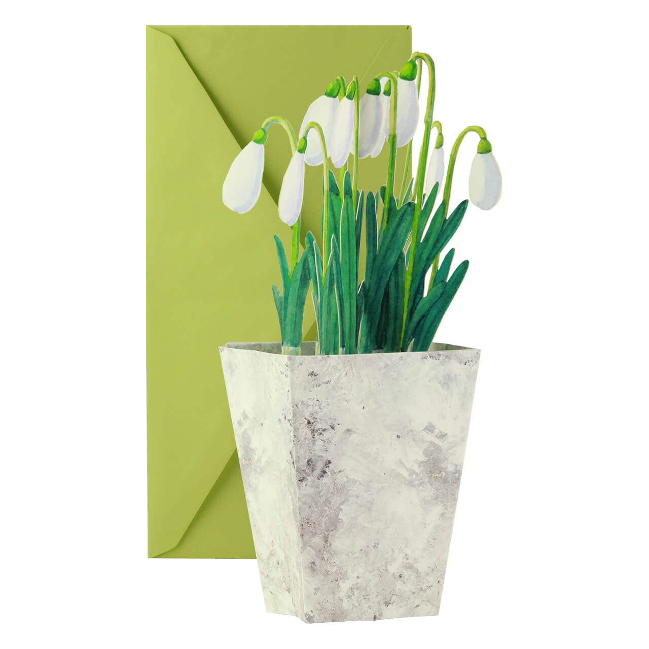 09-6413-2-Grusskarte-Schneegl-ckchen-3 Snowdrops