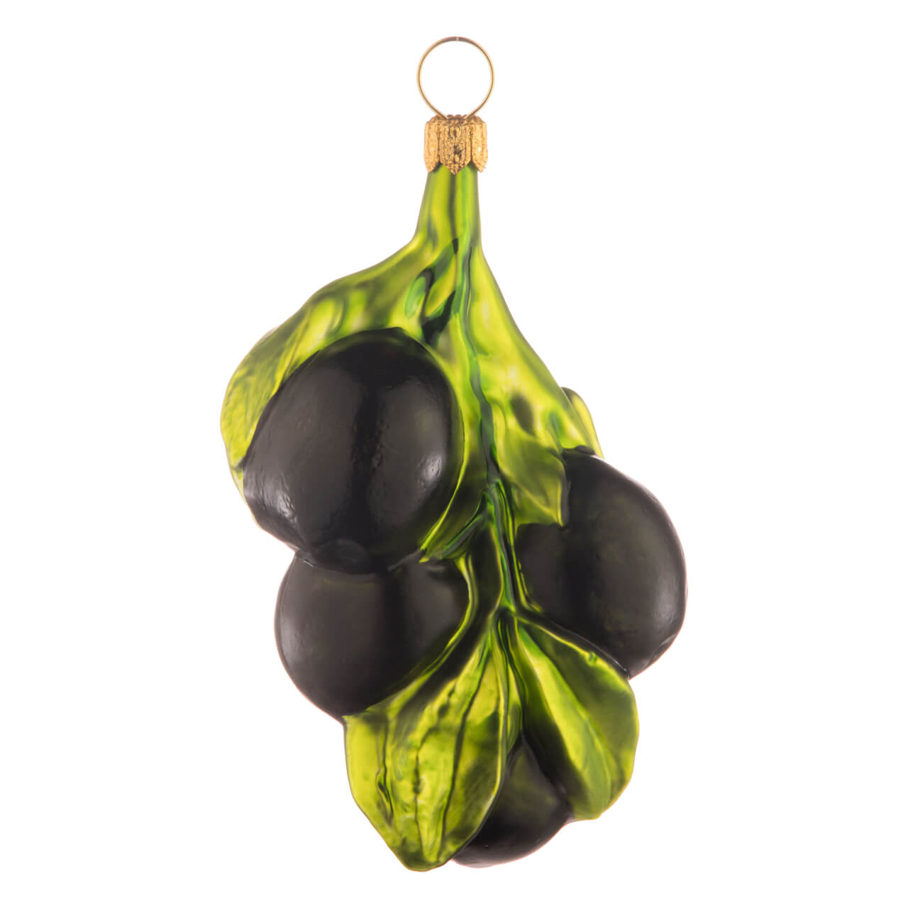 Olive branch Olive branch