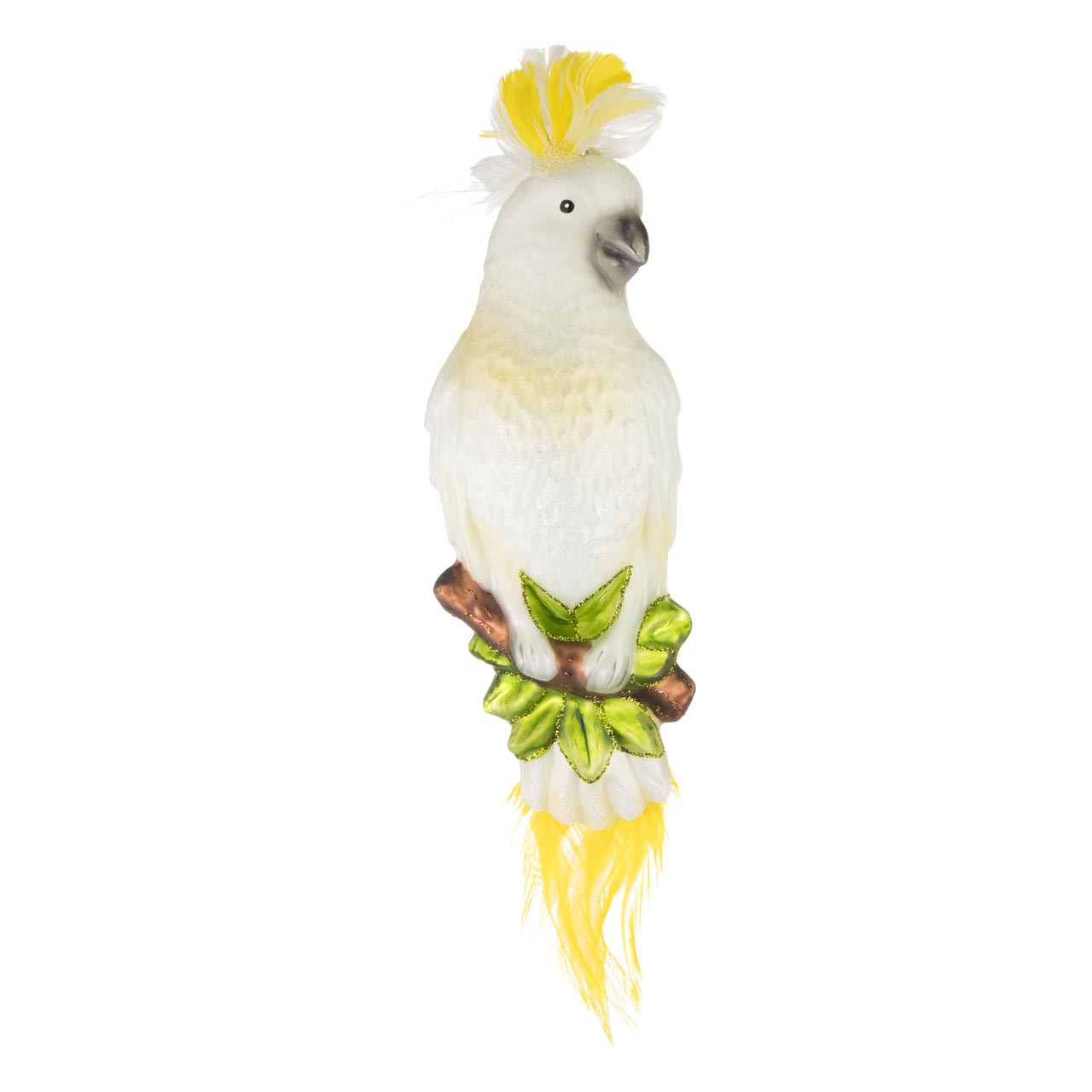 Cockatoo