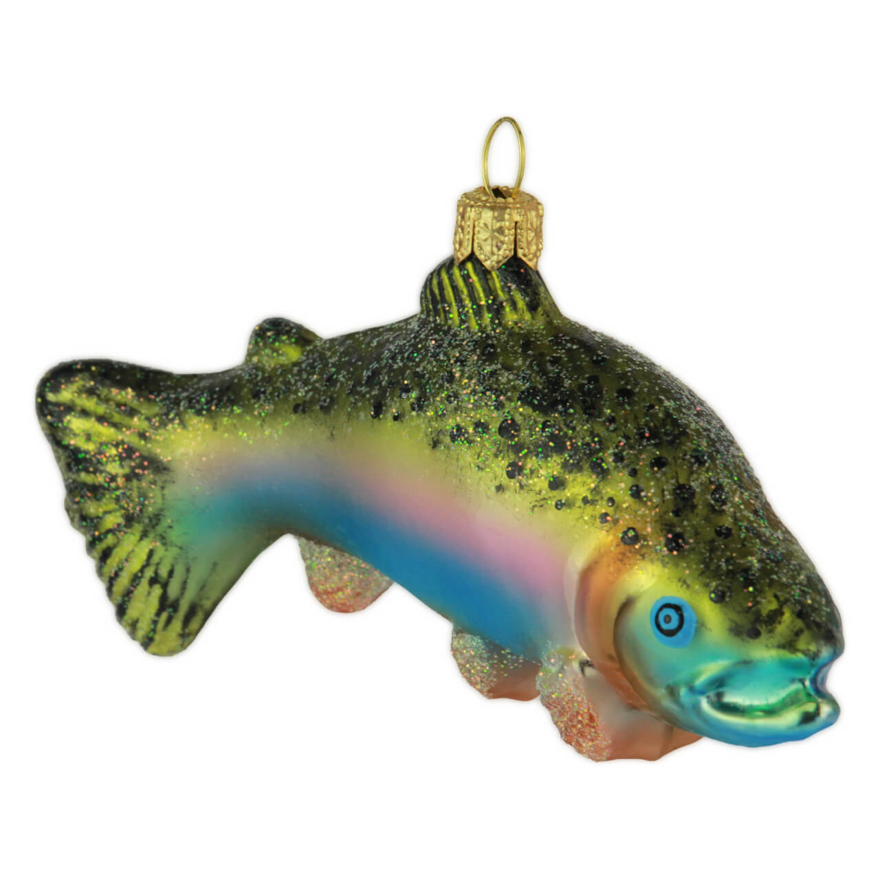 Rainbow trout