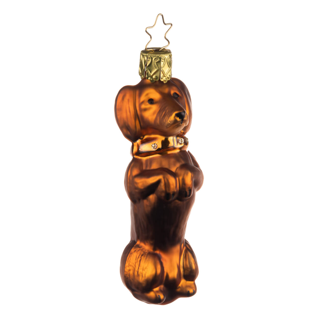 21-9924-0-Dackel-1 Dachshund