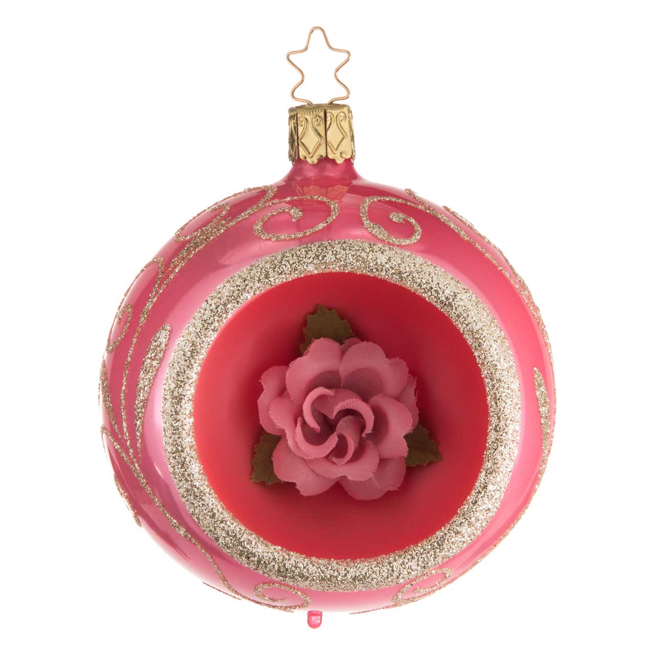 Winter rose Winter rose