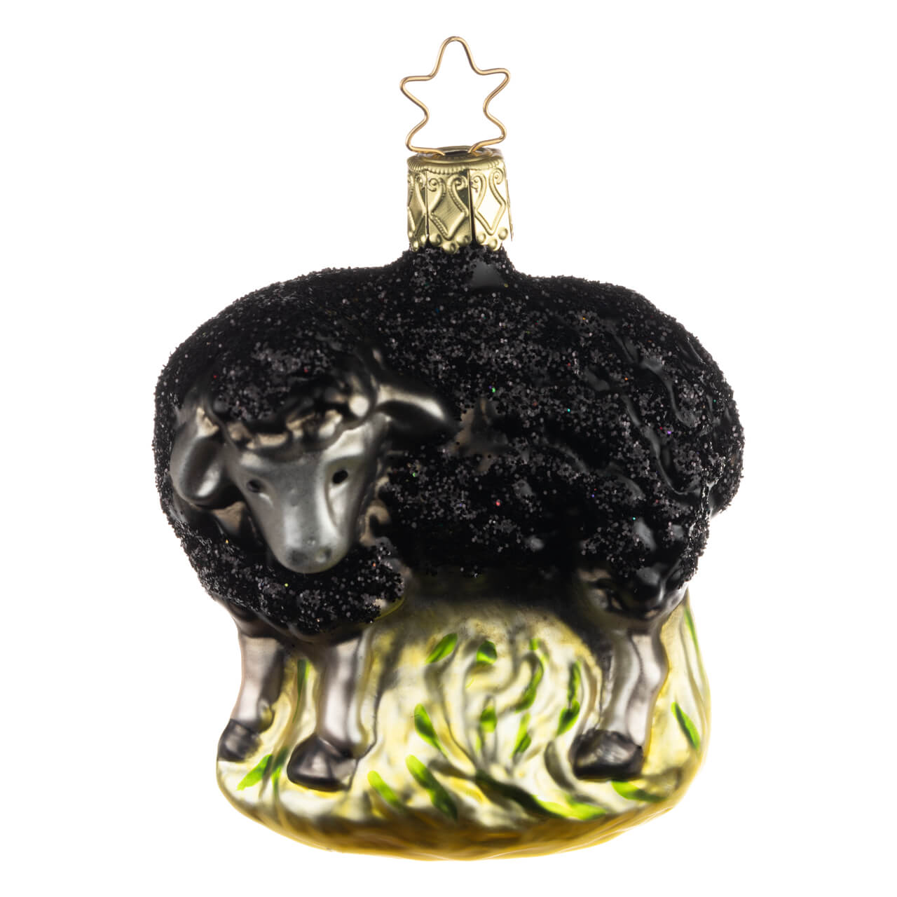 21-1364-2-Schwarzes-Schaf-1 Black sheep