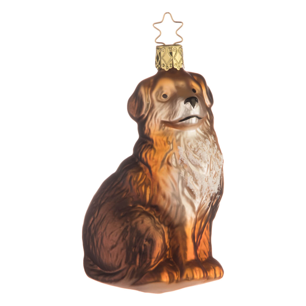 Bernese Mountain Dog Bernese Mountain Dog