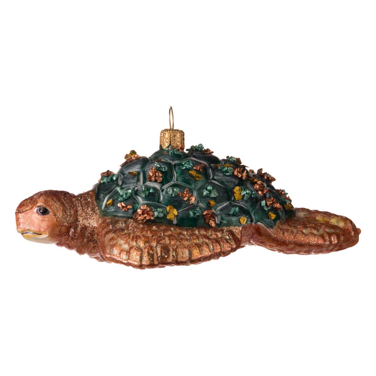 Sea turtle