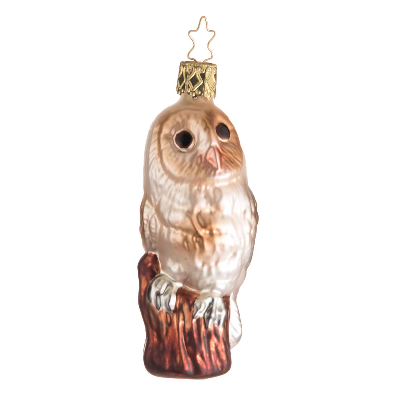 Barn owl Barn owl