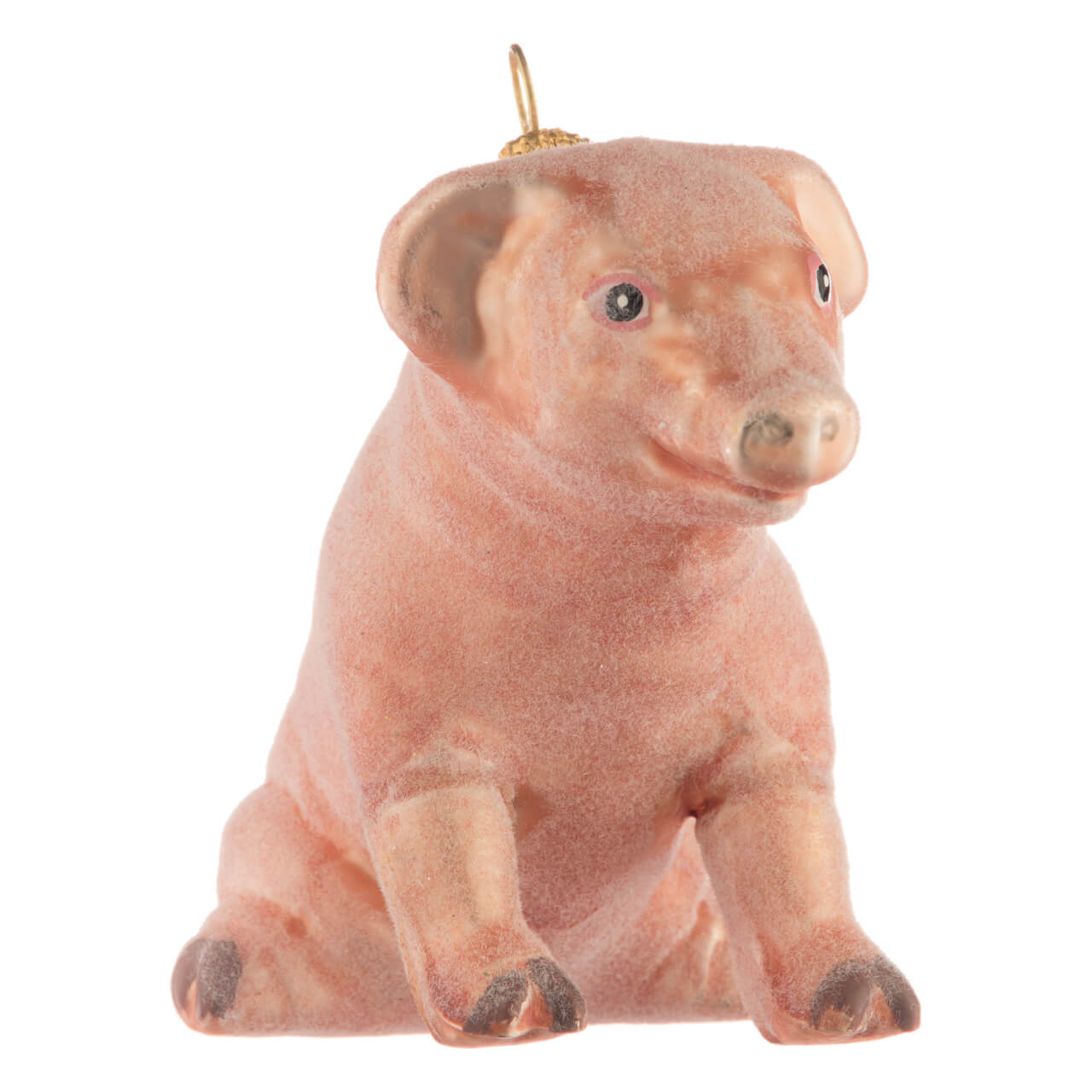 Piglet Piglet