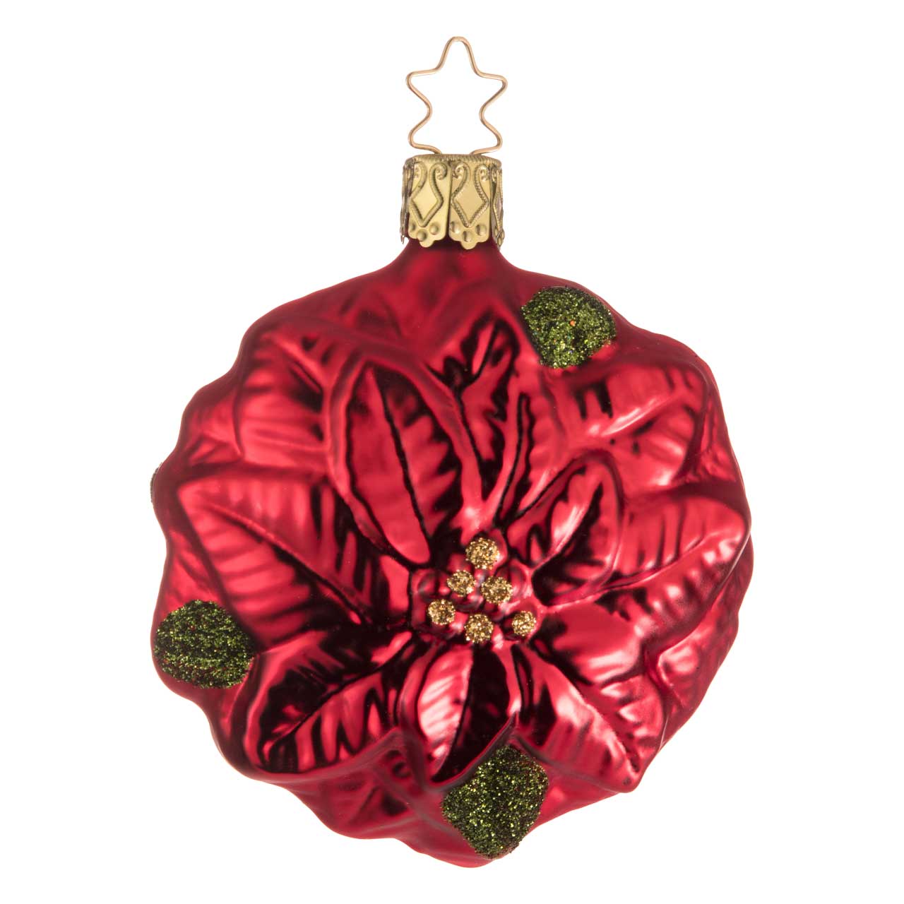Poinsettia Poinsettia