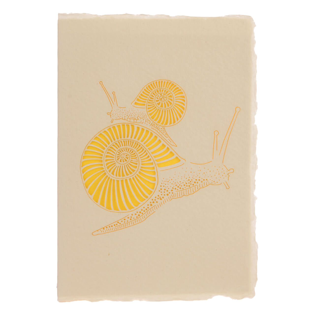 Snails Snails