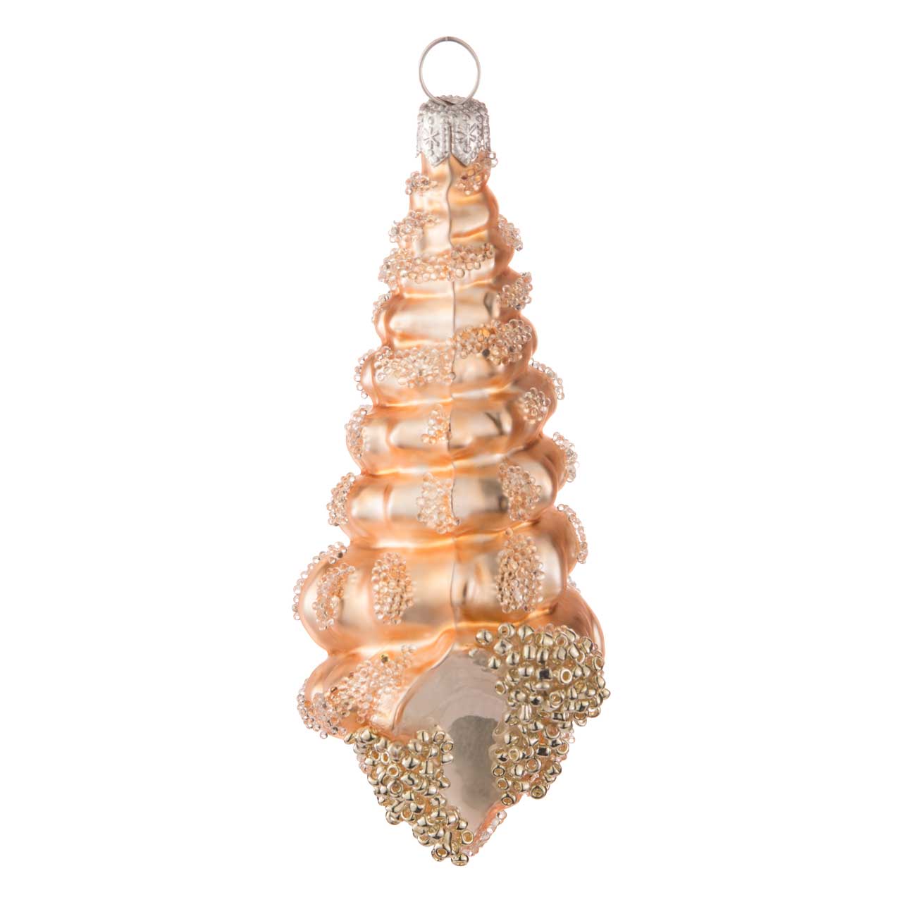 Horn snail