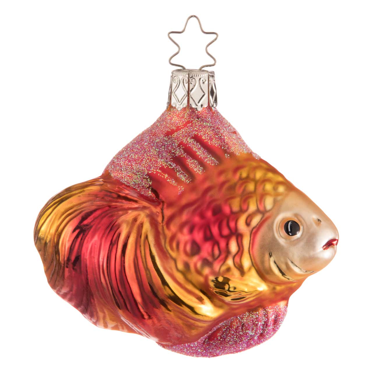 Red and gold ornamental fish Red and gold ornamental fish