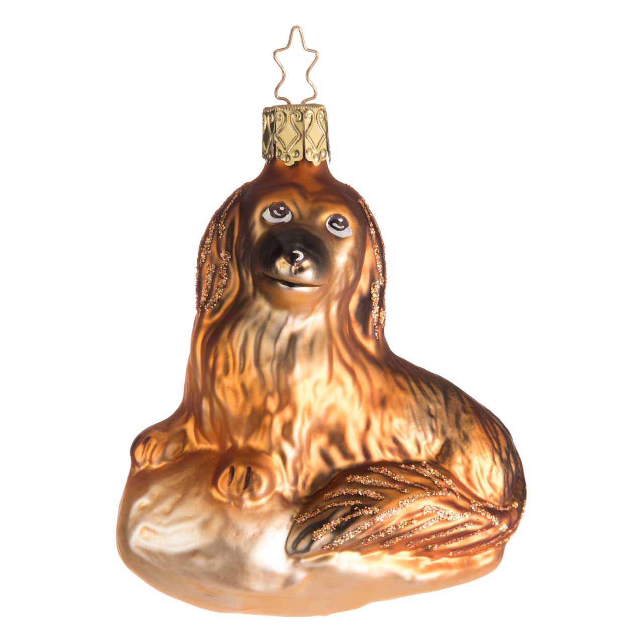 Long-haired dachshund Waldi Long-haired dachshund Waldi