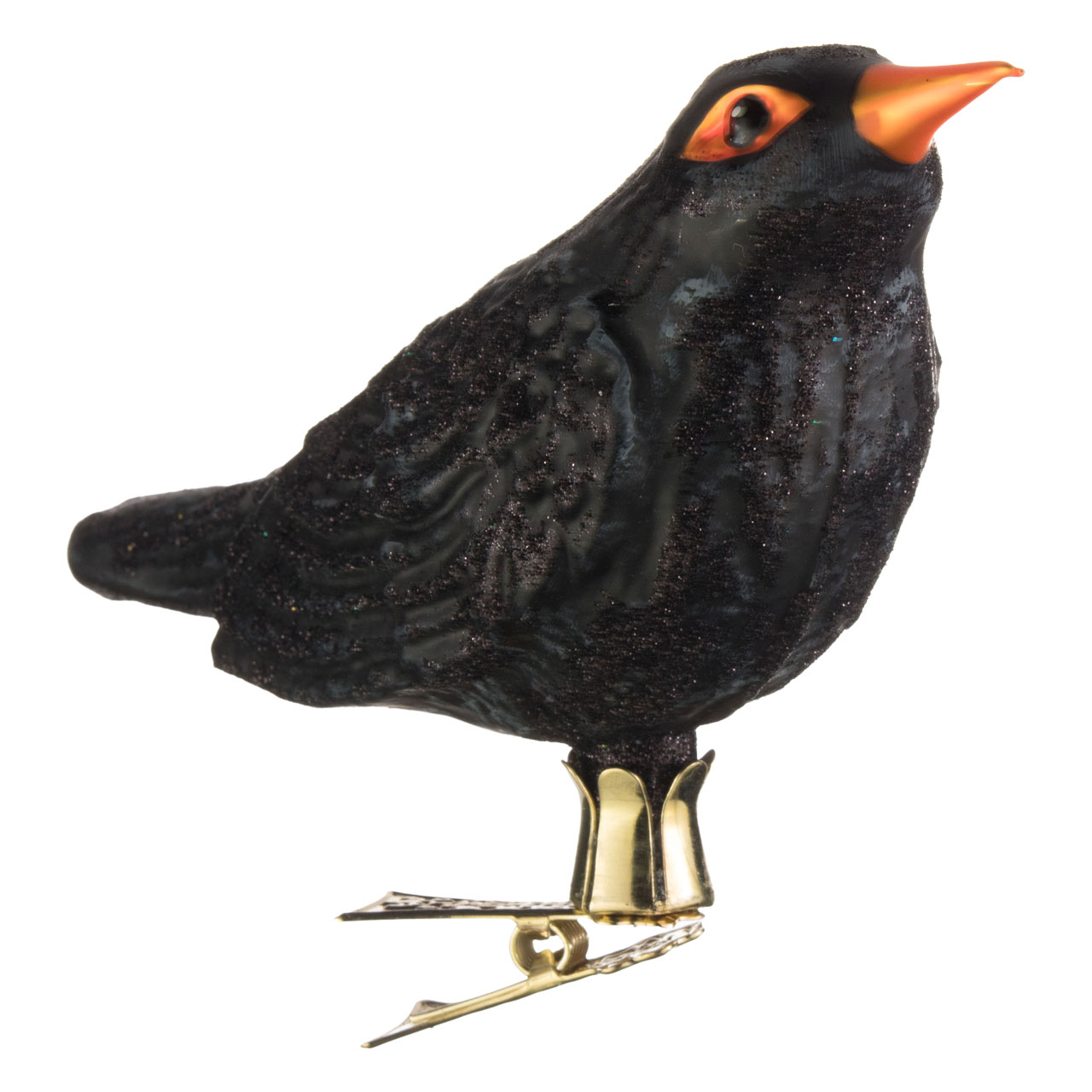 Blackbird Blackbird