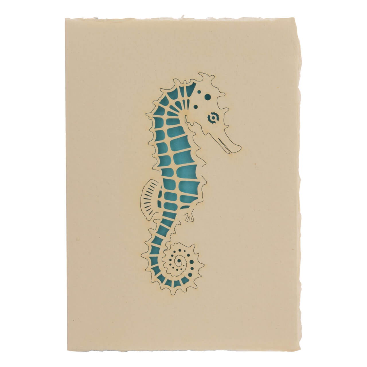 Seahorse Seahorse