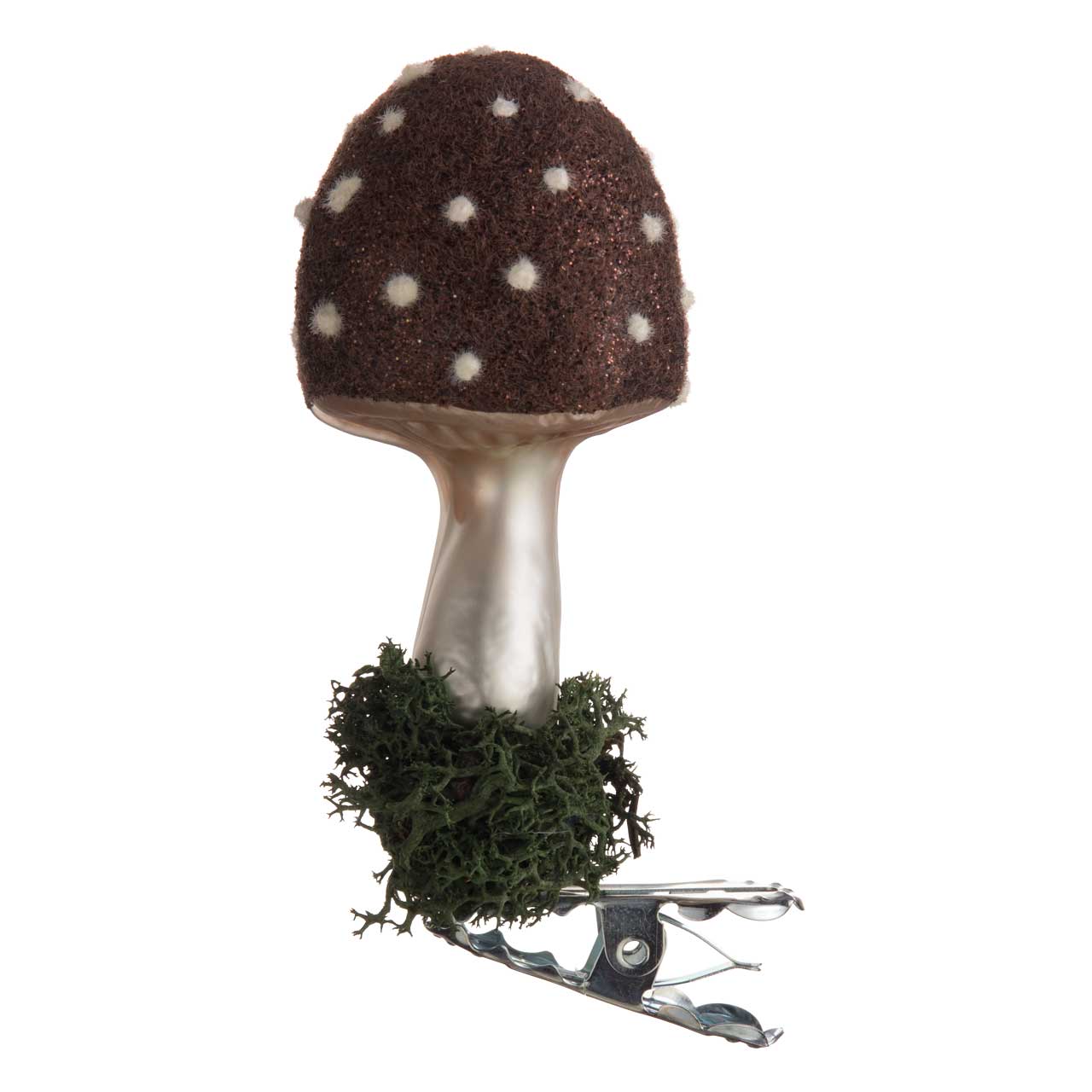 brown fly agaric brown fly agaric