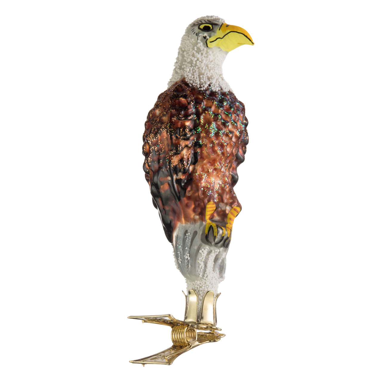 Bald eagle Bald eagle