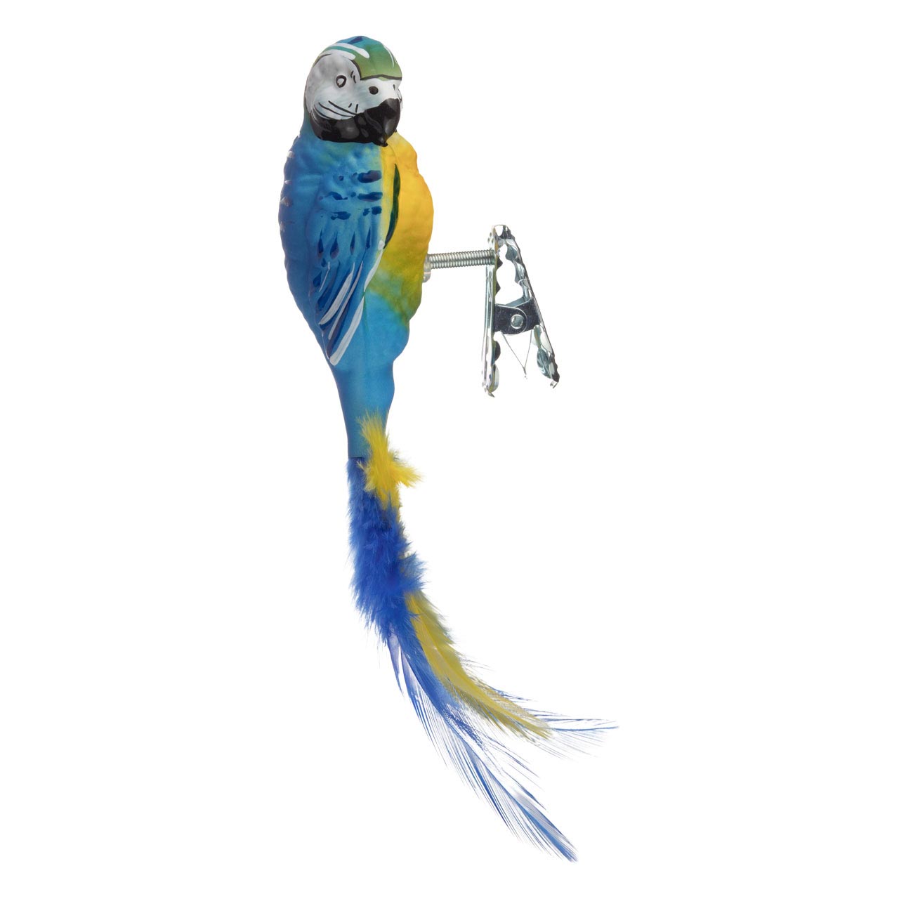 Yellow-breasted macaw