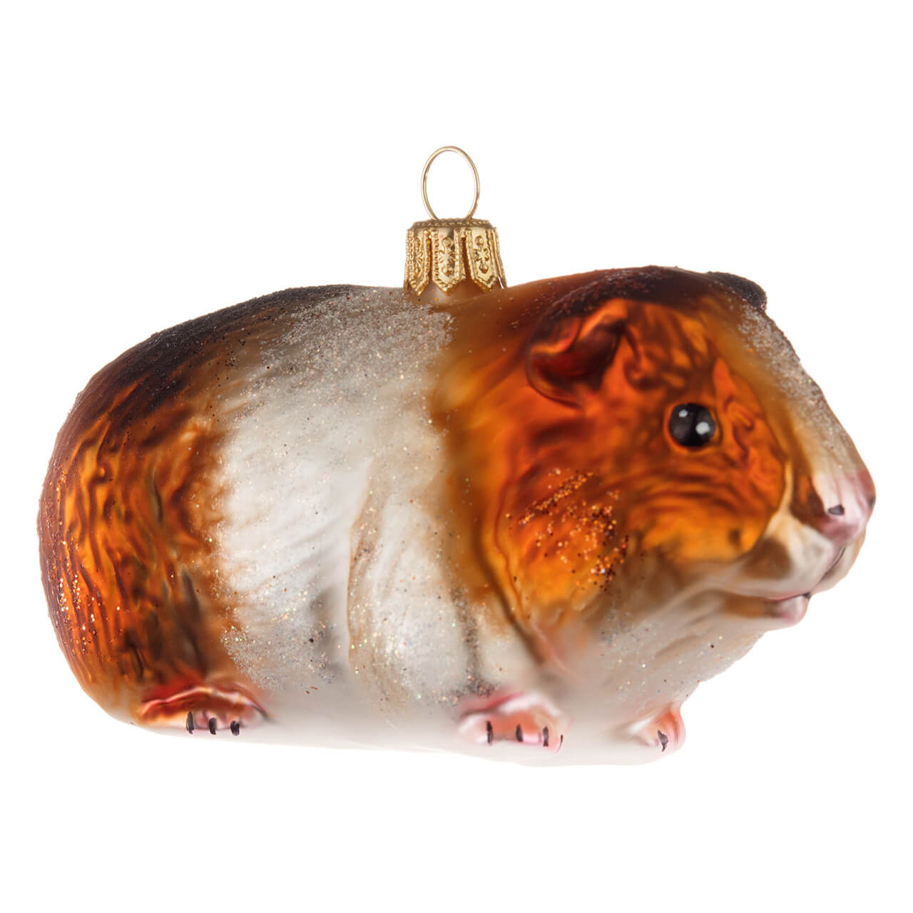 Guinea pig