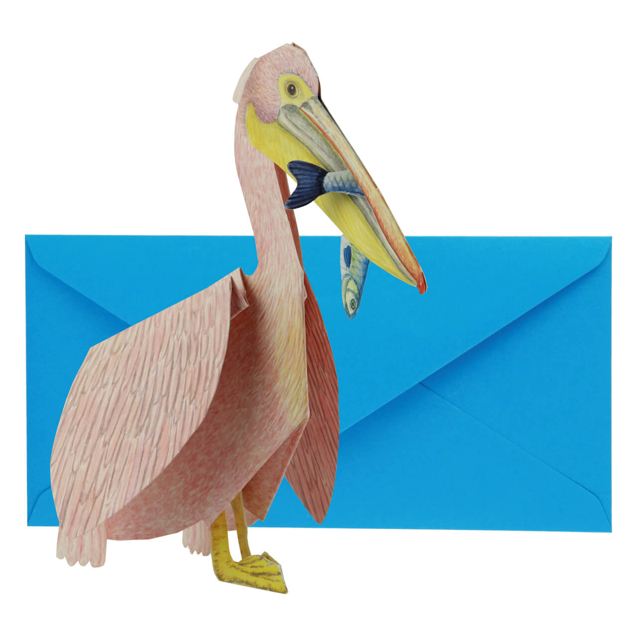 09-9576-1-Grusskarte-Pelikan-3 Pelican