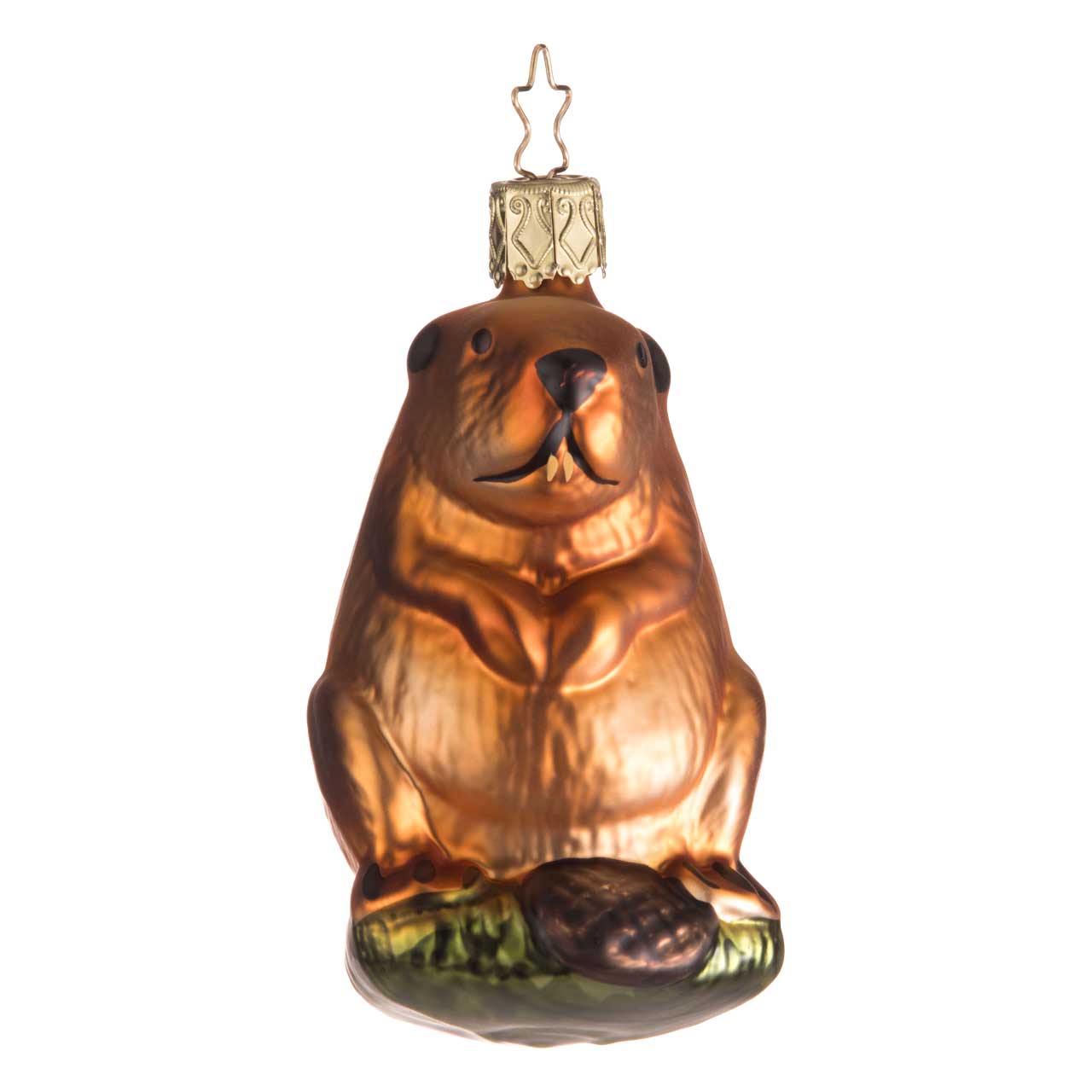 Beaver Beaver