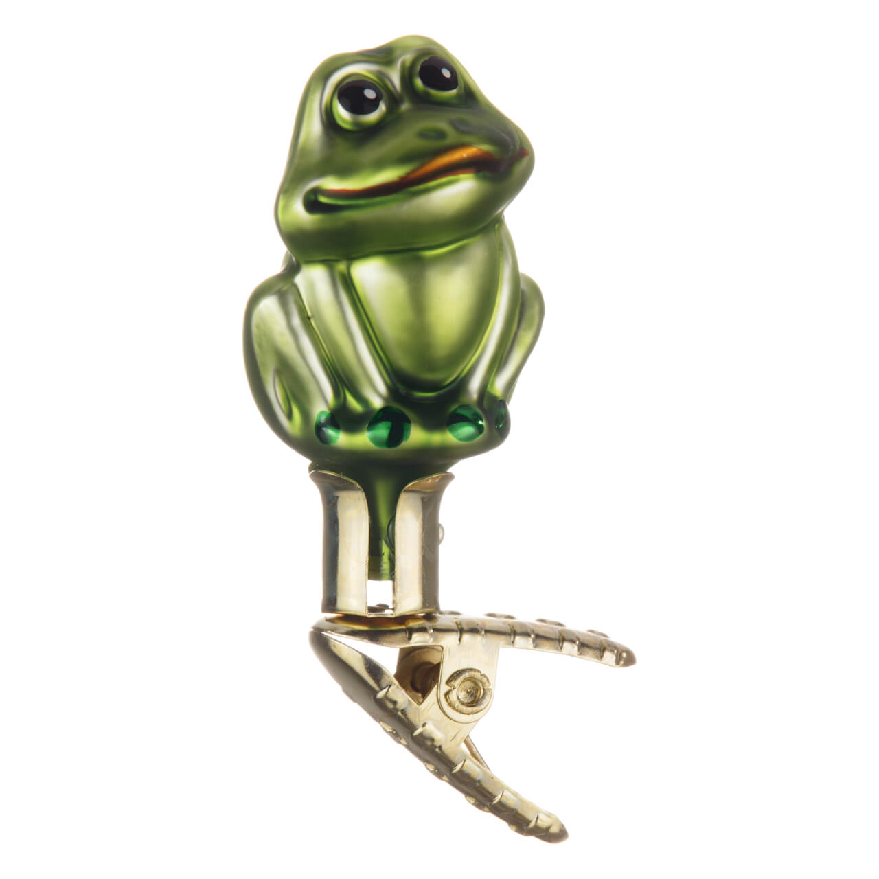 21-8468-0-Kleiner-Frosch-1 Little frog