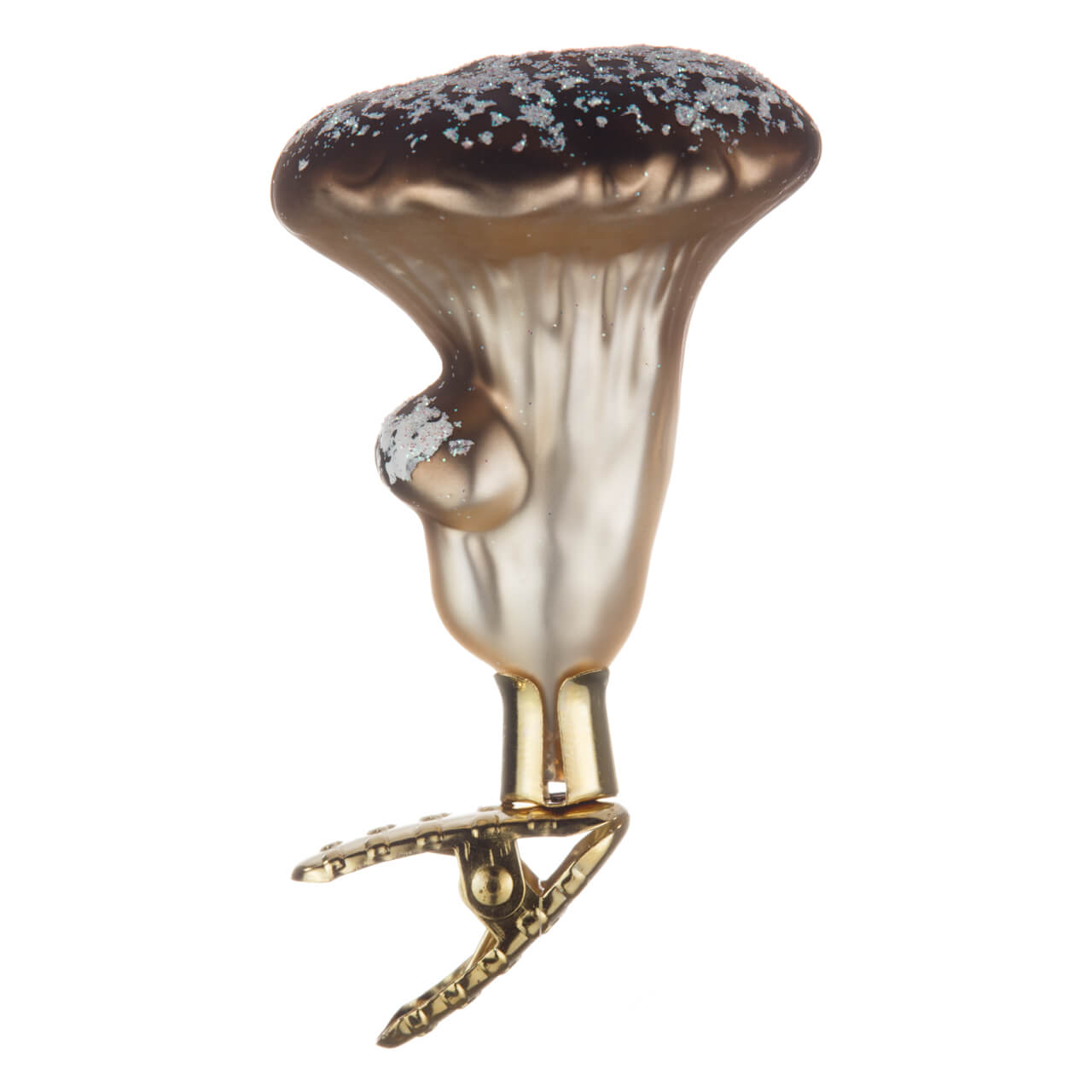 21-5351-8-Pfifferling-1 Winter wild mushroom