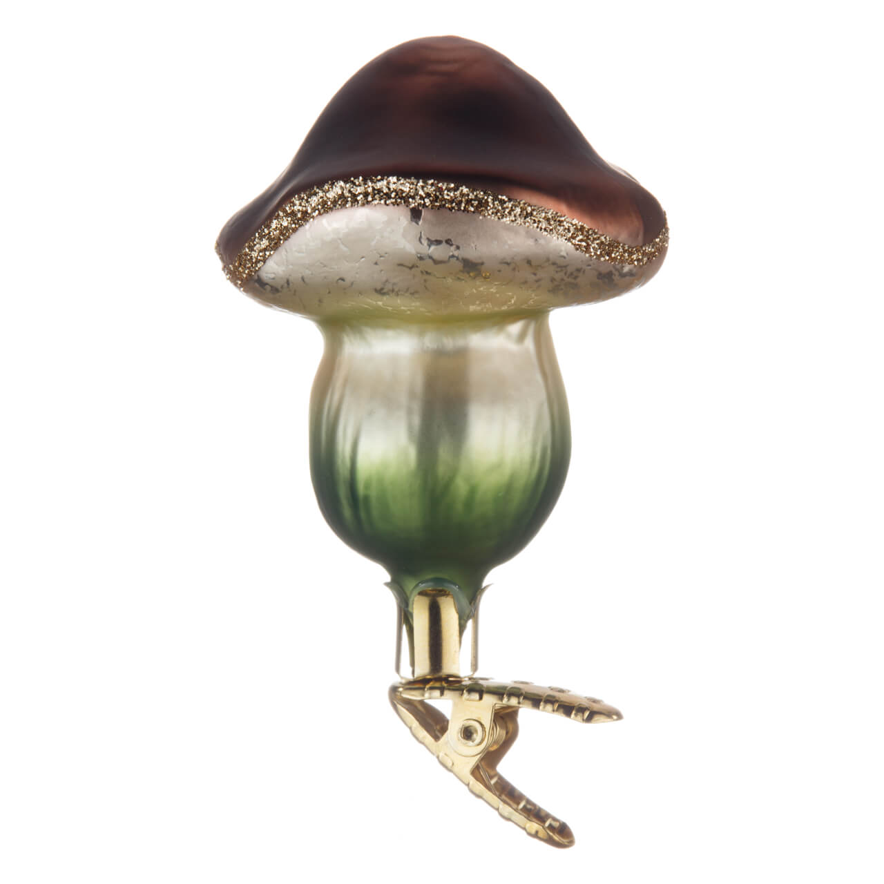 21-2793-9-Maronenpilz-1 Chestnut mushroom