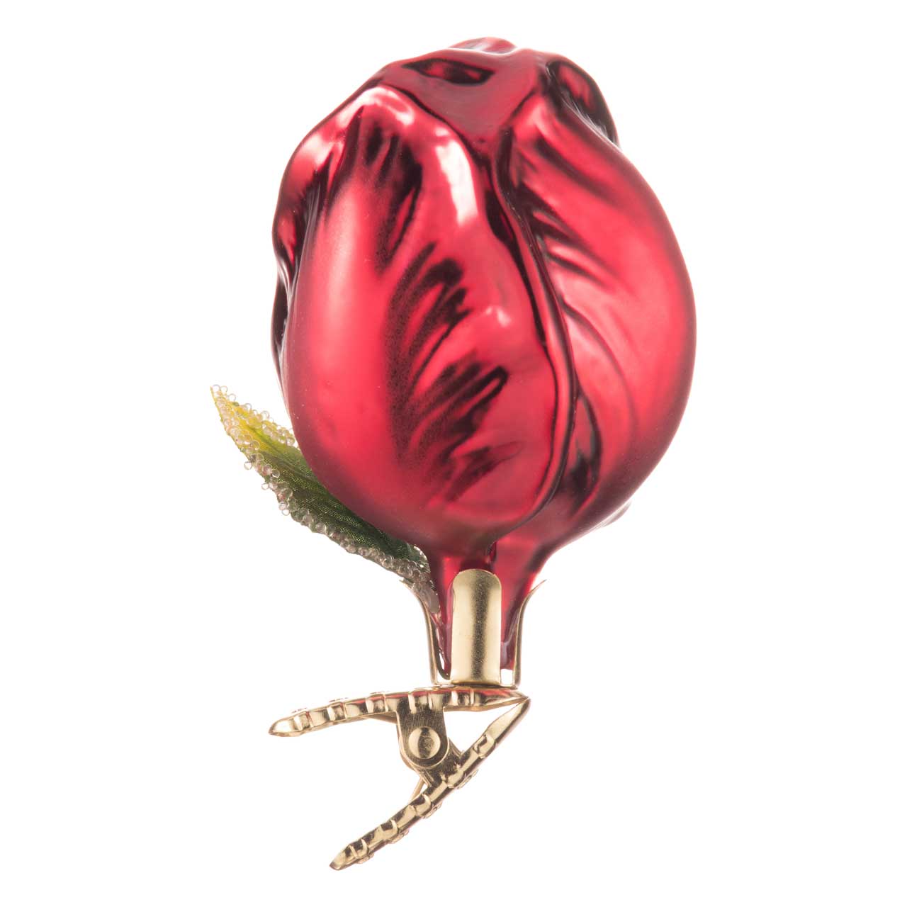 Tulip Tulip