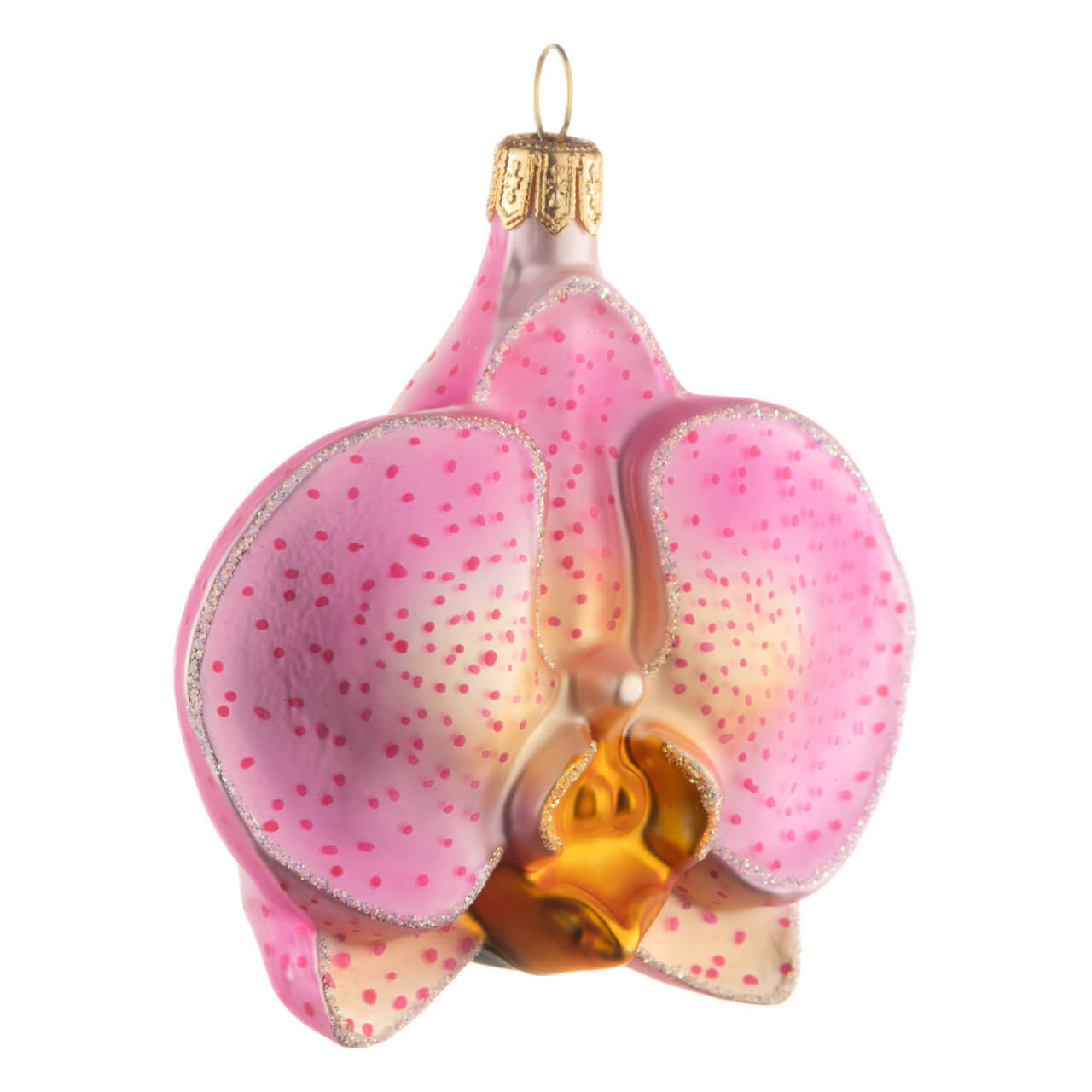 14-2226-2-Christbaumkugel-Nachtfalter-Orchidee-1 Moth orchid