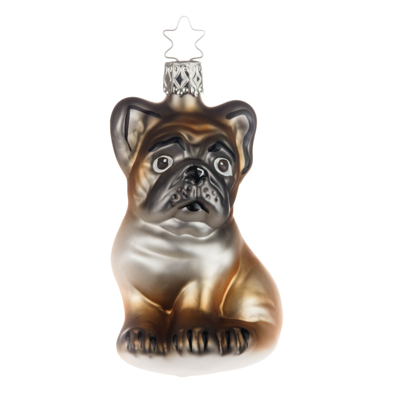 21-4057-0-Franz-sische-Bulldogge-1 French Bulldog