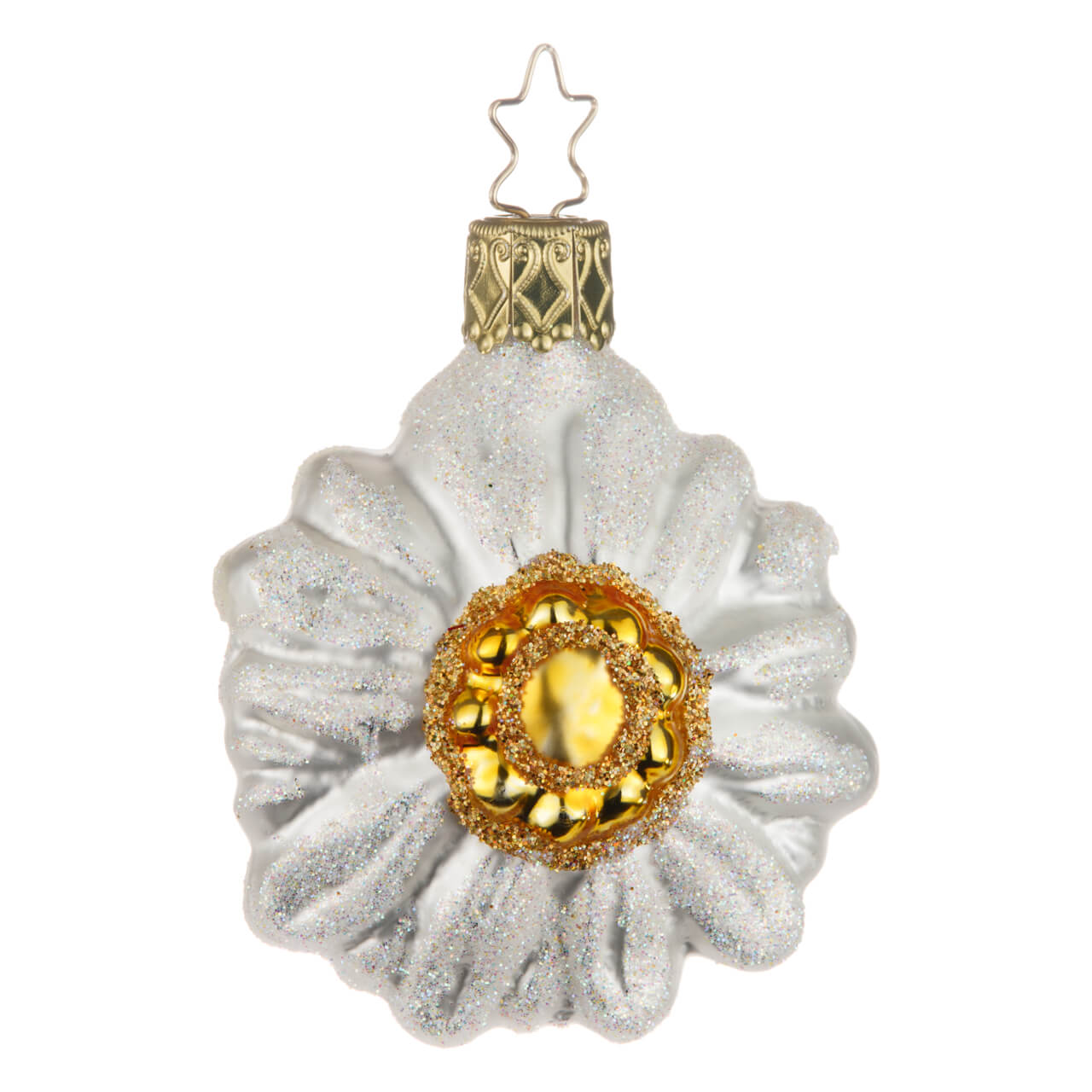21-4363-2-Edelweiss-1