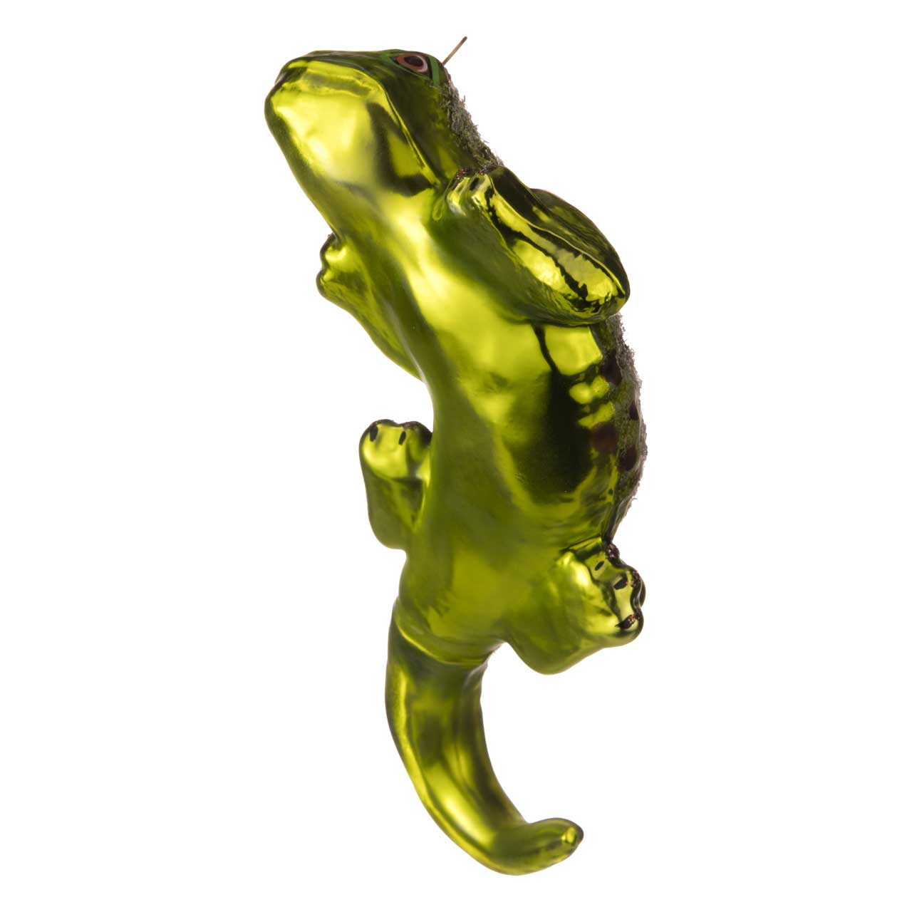 lizard