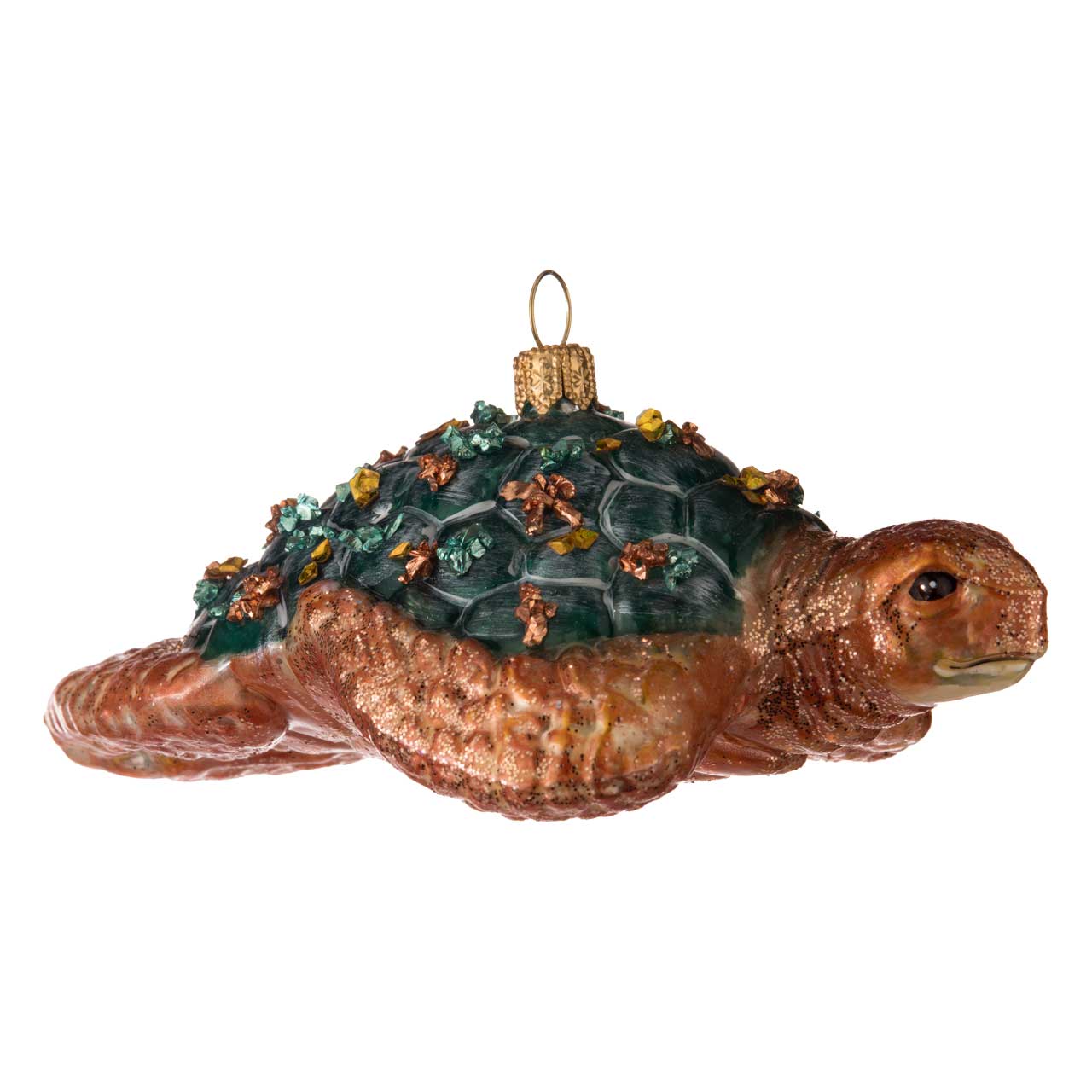 Sea turtle