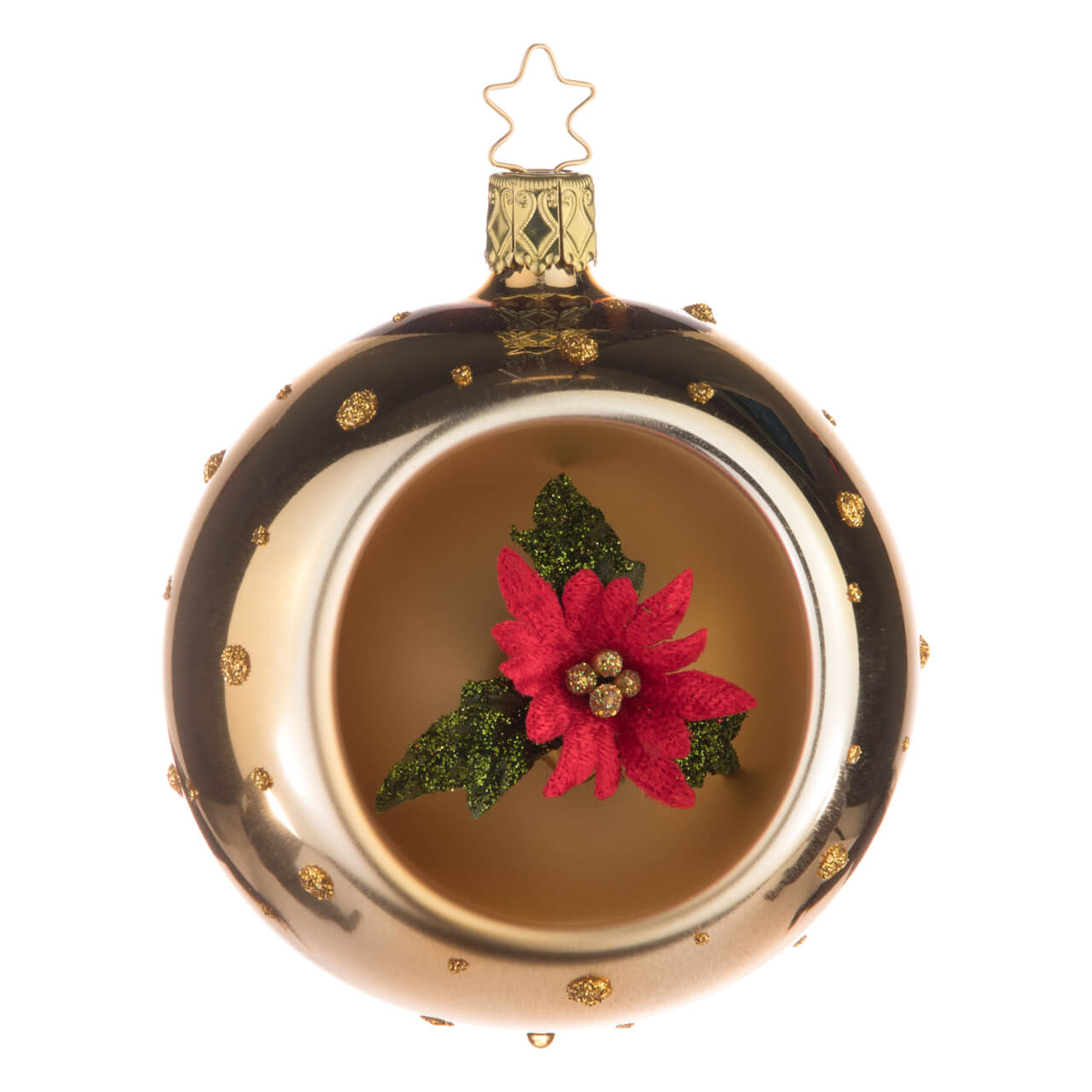 Poinsettia Poinsettia