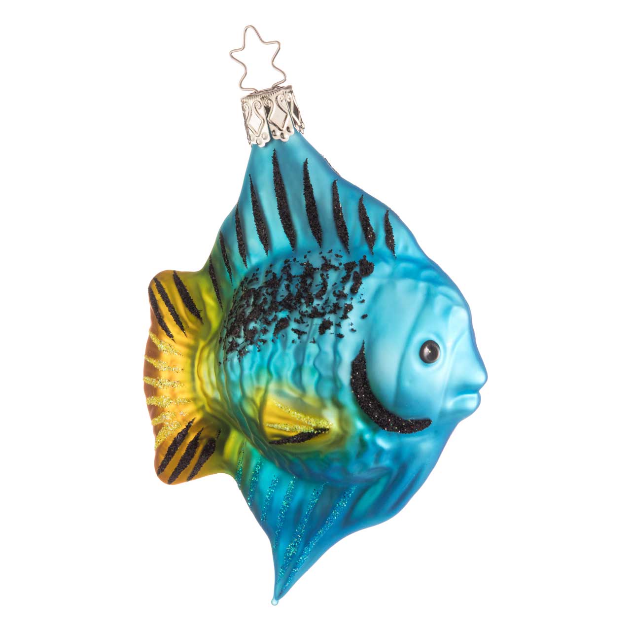 Surgeonfish Surgeonfish